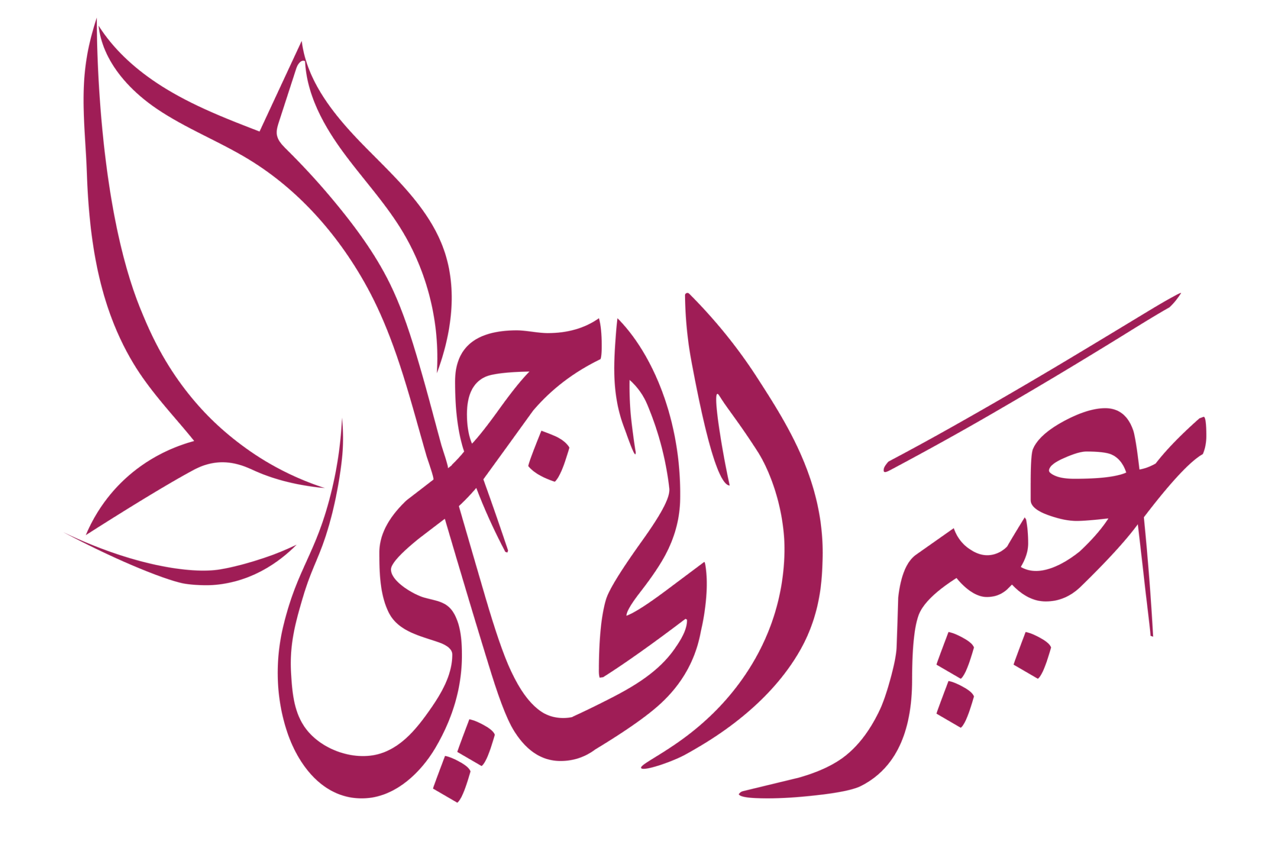 abir alhaji